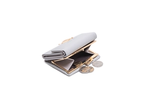 Light gray tri-fold wallet with gold leaf buckle and metal frame coin compartment