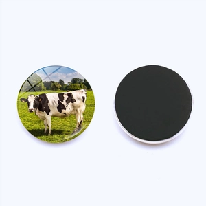 Front and back view of a 25mm round glass fridge magnet with a dairy cow design