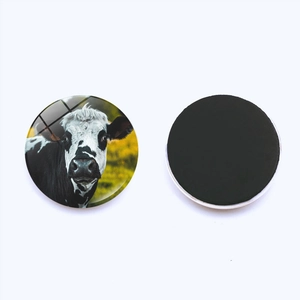 Detailed view of round cow print fridge magnet with glossy crystal glass finish and magnetic back