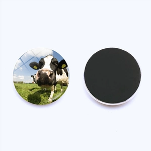 Detailed view of 25mm round glass fridge magnets featuring cow pasture photo designs
