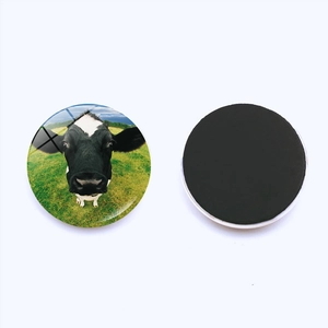 Detailed front and back view of a 25mm round glass cow magnet with black magnetic base
