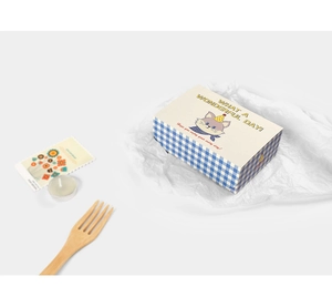 Detailed view of square cartoon gift box with blue gingham pattern and cat illustration