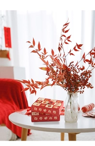 Caja de regalo de Año Nuevo Chino con 9 compartimentos DIY y texto dorado artístico