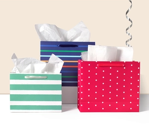 Detailed view of assorted small gift bags with polka dots, stripes, and silk ribbon handles