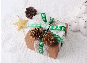 Boîte cadeau de Noël avec ruban flocon de neige et pommes de pin sur nappe en dentelle