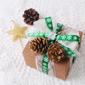 Boîte cadeau de Noël décorée d'un ruban flocon vert et de pommes de pin dorées
