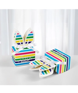 Detail view of rainbow gift box with rabbit ear design and white silk ribbon bow
