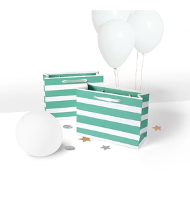Close-up of green horizontal striped paper gift bag with silver silk handles for shopping