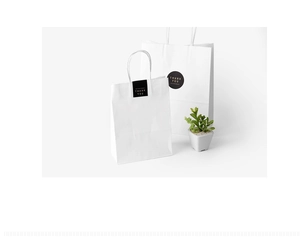 Detailed view of white paper gift bags in two sizes with gold Thank You sealing stickers