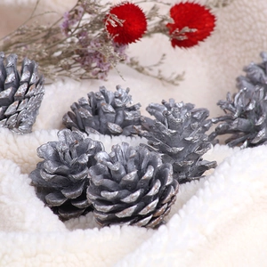 Silver pine cones Christmas tree ornaments set on white wool background with red flowers