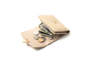 Detailed interior of beige tri-fold wallet showing cash slot and golden heart buckle