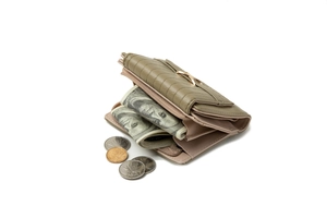 Olive green crocodile textured wallet interior showing card slots and coin pocket storage