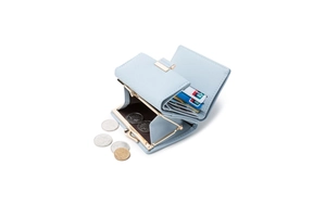 Internal view of light blue tri-fold wallet showing multiple card slots and coin pocket