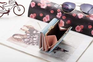 Detailed side view of bi-color light blue wallet showing organized multi-layer card slots