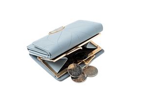 Detail of light blue leather wallet featuring leaf quilting and kiss-lock coin pocket