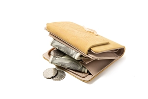 Close-up of light brown purse with leaf embossing and zipper coin pocket