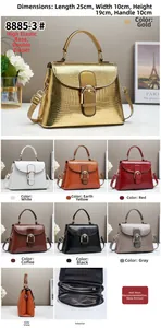 Detailed view of crocodile pattern handbag with dimensions 25x10x19cm and dual zip compartments