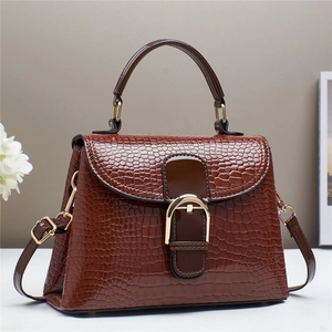 Chic brown crocodile pattern small square handbag with golden horseshoe buckle and strap