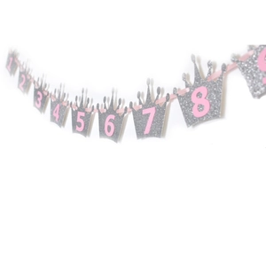Pink and silver glitter crown photo banner with numbers 1-8 for first birthday party decor
