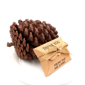 Scatola regalo matrimonio Mr & Mrs in carta kraft con nastro dorato e scritta Thank You