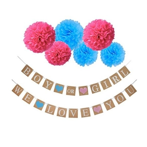 Décorations de fête Gender Reveal avec bannière Boy or Girl et pompons en papier rose bleu