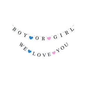 Gender reveal party banner with Boy or Girl and We Love You lettering on white cards