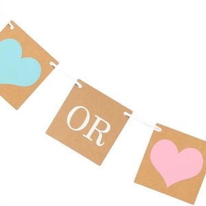 Bannière Gender Reveal avec Cartes en Kraft et Cœurs Rose et Bleu pour Fête