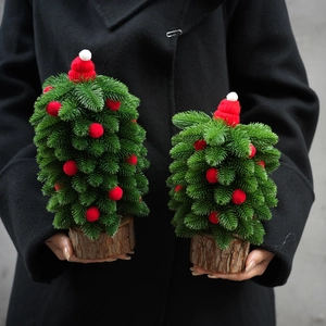 Miniature Christmas trees set with red hats and wooden bases for holiday desk decor