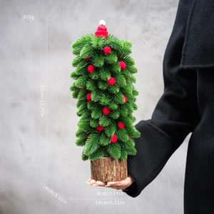 Close-up of mini Noble fir Christmas tree with red hat decoration and wooden base