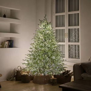 Lush pre-lit PE flocked Christmas tree with warm LED lights and woven rattan base stand
