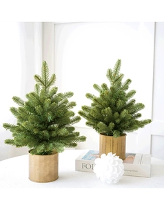 Set of two mini frosted Christmas trees with elegant gold cylinder bases for decor