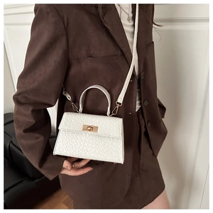Detail of white crocodile texture on small square handbag with gold rotating lock