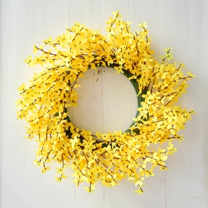 Macro view of bright yellow forsythia wreath on rustic white wood background