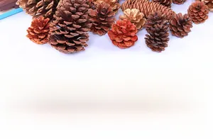 Flat lay of natural, gold-coated, and red glitter pine cones for Christmas decor