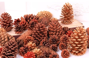 Close-up of assorted natural pine cones in brown, gold, and red glitter finishes for decor