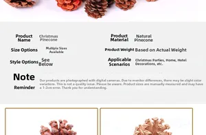 Detailed view of natural pine cones for Christmas decor and home table arrangements