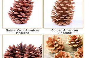 Detailed macro shot of natural and gold pine cones for creative Christmas decor