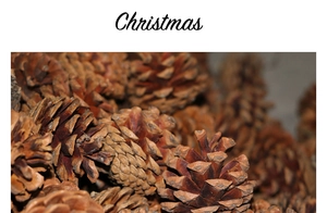 Macro shot of natural dried pine cones with Christmas lettering for festive decoration