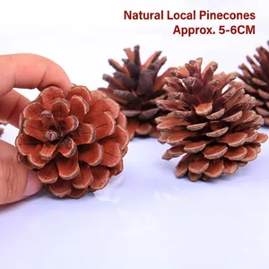 Natural brown pine cones for Christmas decor, approx. 5-6cm size, shown held by hand