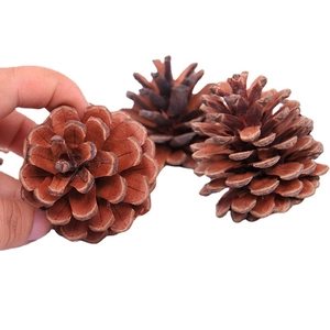 Three natural dried brown pine cones for Christmas decor and DIY crafts on white background
