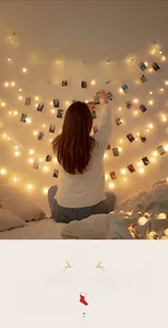 Warm white LED globe string lights with wooden clips for hanging photos and home decor