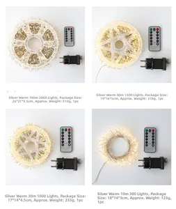 LED firecracker string lights set with remote, adapter and flexible silver wire