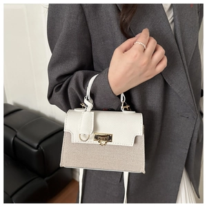 Detail of elegant two-tone mini handbag featuring leather flap and woven texture details