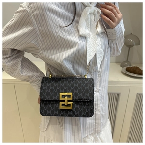 Close-up of grey monogram crossbody bag with gold chain strap and metal buckle