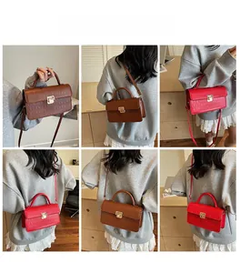 Detail shots of crocodile pattern mini square bag shown by model in brown and red