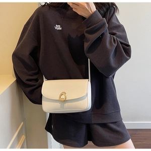 Detailed close-up of ivory saddle bag with a golden horseshoe metal buckle and leather strap
