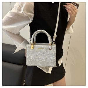 Detail of silver snake-pattern crossbody bag with woven handle and gold hardware