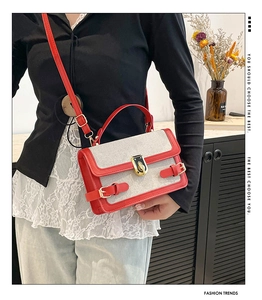 Detail of contrast color crossbody bag with red leather trim and gold metal buckle