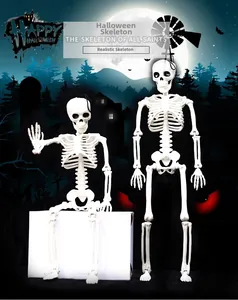 Detailed close-up of realistic Halloween skeleton props in sitting and standing poses