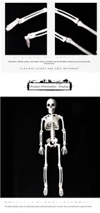 Detail showing flexible joints and self-standing pose of a plastic Halloween skeleton